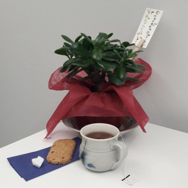 emaskuva e1508401701528