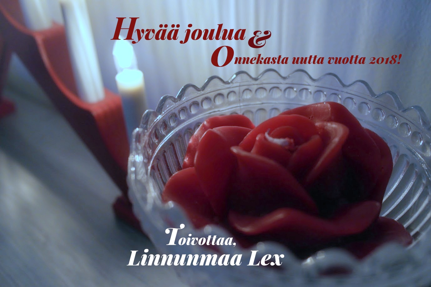 joulukuva2018