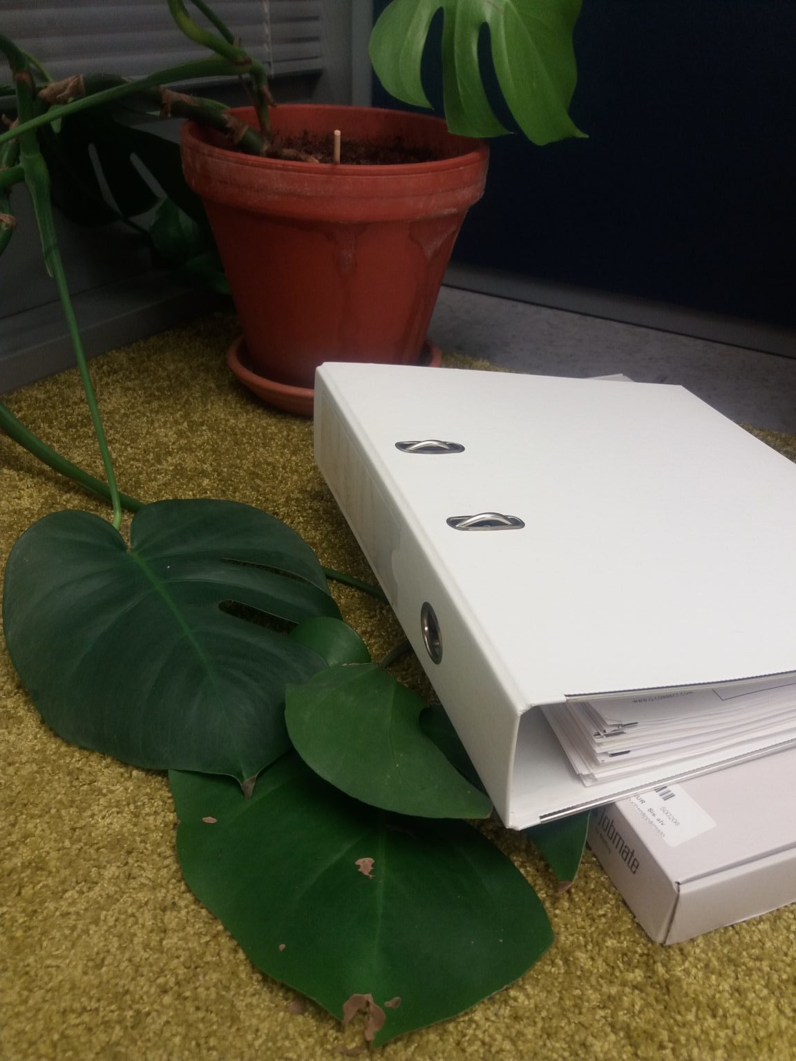 20180126 131235ll e1516965319642