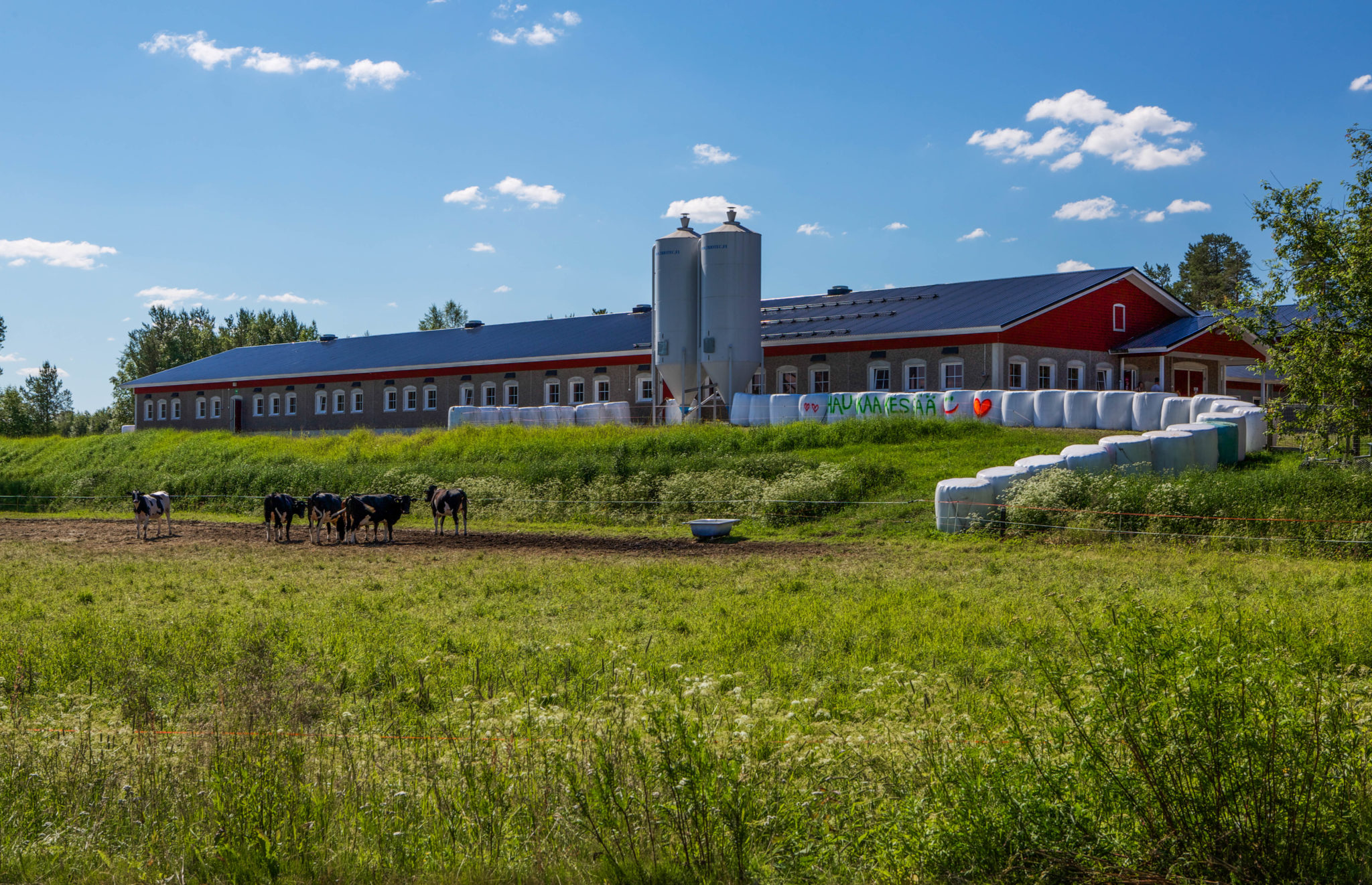 Ajankohtaista 19 Jakkukylä Yli Ii Oulu Finland 1