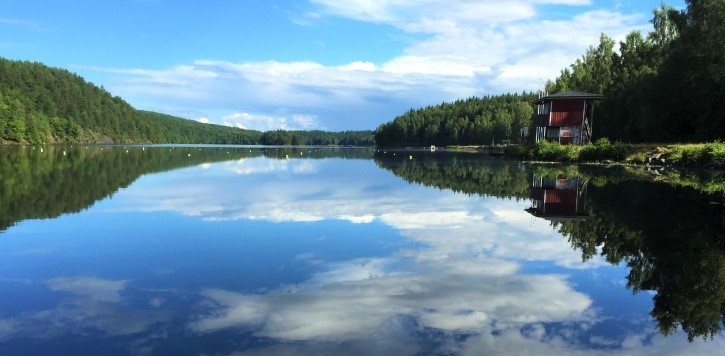 Ajankohtaista 21 Maisema