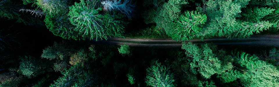 ekologinen kompensaatio 2