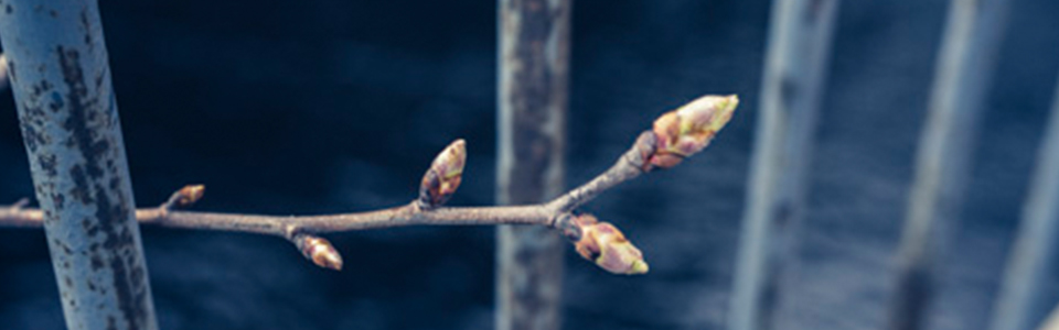 Ajankohtaista 15 kestavyysraportointidirektiivi iii