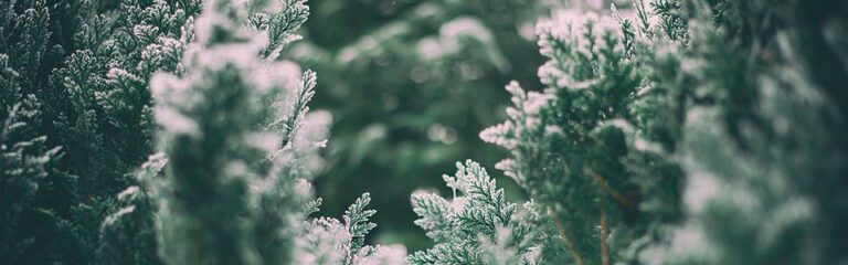 Ländäri - Palvelu: ESG 6 vastuullisuussaantely