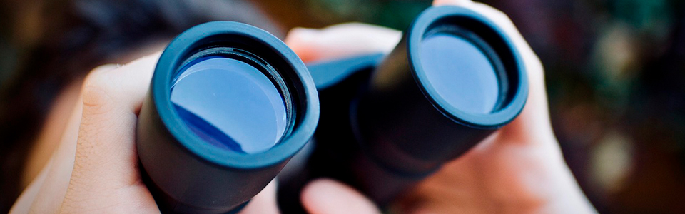 vastuullisuussaantely kooste