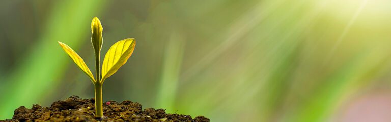 Ländäri - Palvelu: ESG 7 taksonomia i