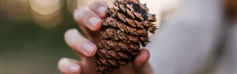 Ländäri - Palvelu: ESG 9 opas vastuullisuussaantelyn hallintaan