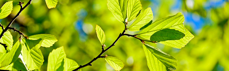 vuosilomalaki 0324 ii