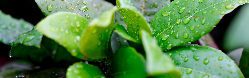 ravintolisien turvallisuus 131124