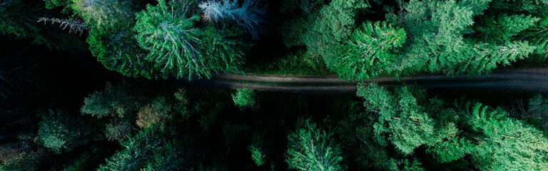 Ländäri - Palvelu: ESG 5 ekologinen kompensaatio 2