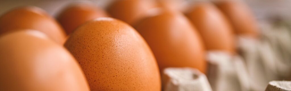 egg 7345934 1280 e1761050589816