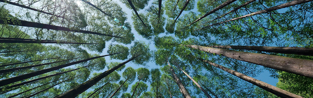 Etusivu 9 vastuullisuussaantely 010326